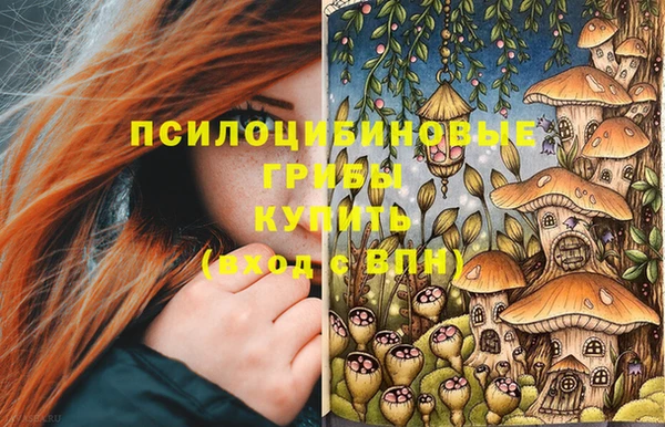 сатива Верхнеуральск