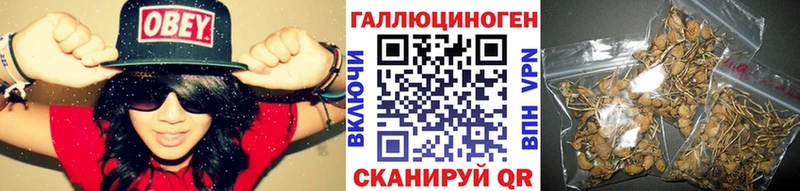 Галлюциногенные грибы Magic Shrooms  Чухлома 