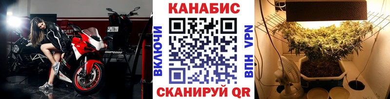 Марихуана индика  Чухлома 
